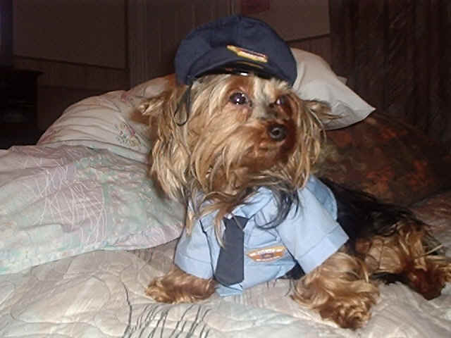 policier.JPG (78073 octets)