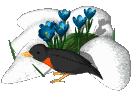 robin.gif (48141 octets)