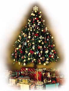 sapin.jpeg (13853 octets)