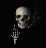 skull2.gif (30868 octets)